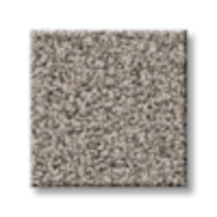 Shaw Gardiners Bay Perpetual Texture Carpet with Pet Perfect Plus-Sample